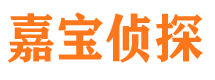 滨江侦探公司